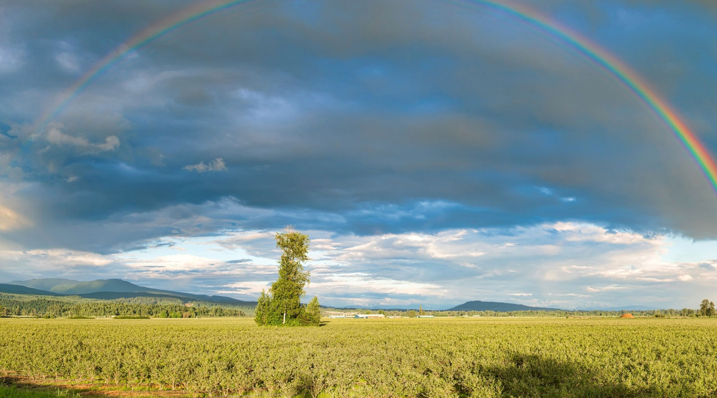 Consultoría Financiera y Tributaria